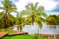Wooden dam and palms in traditional indian village Boca de Guama Nature Reserve Royalty Free Stock Photo