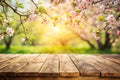 Empty wooden deck table over blooming tree bokeh background for product montage display. Spring concept Royalty Free Stock Photo