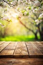 Empty wooden deck table over blooming tree bokeh background for product montage display. Spring concept Royalty Free Stock Photo