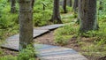 Wooden decking on an ecological trail.