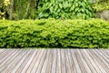 Wooden decking and plant garden.