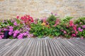 Wooden decking and plant with wall garden decorative