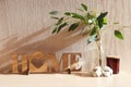 Wooden decor with the inscription HOME, a vase with eucalyptus sprigs, cotton flowers and a decorative aroma candle on a sunny day