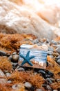 Wooden decorative Chest with sea shells and blue star on the sea coast Royalty Free Stock Photo