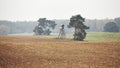 Wooden deer hunting pulpit on a field in autumn