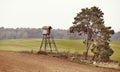 Wooden deer hunting pulpit on a field in autumn