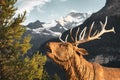 Wooden deer statue in front of the Bernese Alps in the Swiss village of Grindelwald.