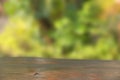 Wooden desk with blurry natural background