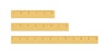 Wooden different size rulers 6, 8 and 12 inch long isolated on white background. Vector illustration.