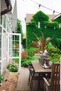 Wooden dining table with retro dishes and deer antler in the courtyard