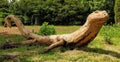 Wooden dinosaur at Belmont Gardens, Belmont House , Kent