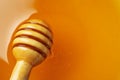 Wooden dipper in fresh honey close up