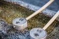 The wooden dippers at a purification basin at a shrine