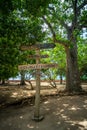 Wooden direction arrow signs on a wooden pole isolated on a lush background. Royalty Free Stock Photo