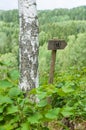 Wooden directional arrow sign of hiking trail Royalty Free Stock Photo