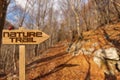 Wooden Directional Sign with Text Nature Trail - Mountain Path Royalty Free Stock Photo