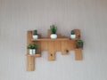 wooden displays and plants in small pots