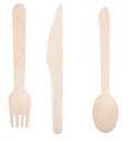 Wooden disposable cutlery for take-away meals. Ecological accessories used in the fast food bar