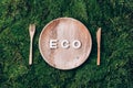 Wooden disposable tableware from natural materials with word ECO, wooden spoon, fork on green moss background. Eco