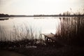 Wooden dock, pier, on a lake in the evening Royalty Free Stock Photo