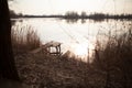 Wooden dock, pier, on a lake in the evening Royalty Free Stock Photo