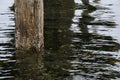 Wooden Dock Pillar Reflection Royalty Free Stock Photo