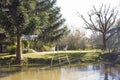 Wooden dock seen from boat in the Delta del Parana, Tigre Buenos Aires Argentina Royalty Free Stock Photo