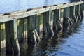 Wooden dock structure at a Florida marina.