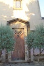 A wooden door with a beautiful pattern Royalty Free Stock Photo