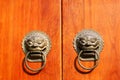 the wooden door with bronze lion-shaped knockers