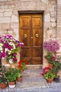 Elegant wooden door with flowers