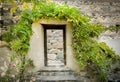 Wooden door frame covered with trees in front of stone wall.