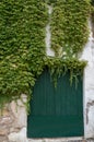 Wooden door with ivy covered facade Royalty Free Stock Photo