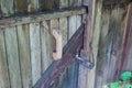 Wooden door latch and handle on the old wooden wicket