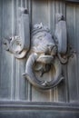 Wooden door with lion head knocker, decoration Royalty Free Stock Photo