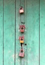 Wooden door locked by 4 different padlocks Royalty Free Stock Photo