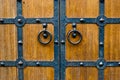 Wooden door with metal door handle