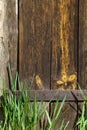Wooden door of an old barn with rusty hinges Royalty Free Stock Photo