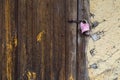 Wooden door of an old barn with rusty hinges and a padlock Royalty Free Stock Photo