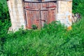 Wooden door of old cellar Royalty Free Stock Photo