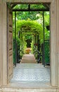 Wooden Door Opens to Tropical Garden Royalty Free Stock Photo