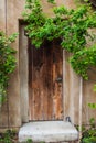 Wooden door outside with plants decorations, ivy, vintage Royalty Free Stock Photo