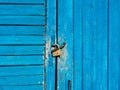 The wooden door with peeling blue paint is locked with a padlock Royalty Free Stock Photo