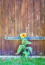 Wooden door with red poppy Royalty Free Stock Photo