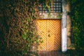 Wooden door and walls in ivy and plants, an European architecture concept
