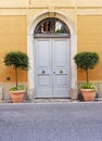 Wooden double doors with flower pots Royalty Free Stock Photo