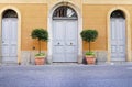 Wooden double doors with flower pots Royalty Free Stock Photo