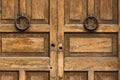 Wooden Double Doors with Round Brass Knockers