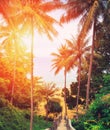 Wooden down stairs to the beach at sunset. Naithon beach, Phuket, Thailand