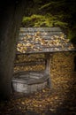 Wooden draw-well in autumn day with leaves on roof.